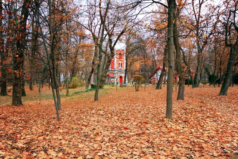 the house in the woods.jpg